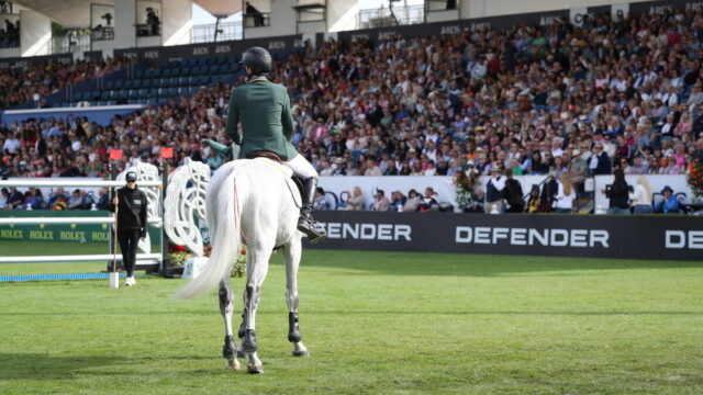 Equestrian event at RDS Dublin Horse Show near Ariel House Ballsbridge